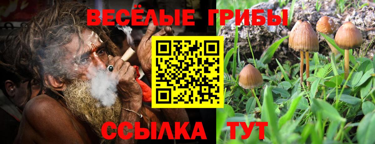 Псилоцибиновые грибы Psilocybine cubensis  Вход с VPN  цены наркотик  Чита 