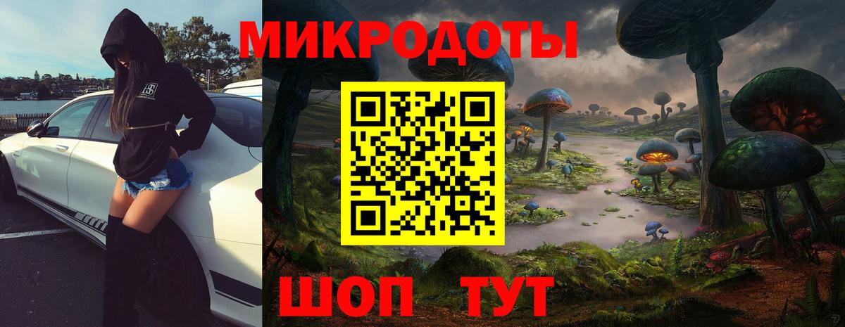 Псилоцибиновые грибы прущие грибы Чита
