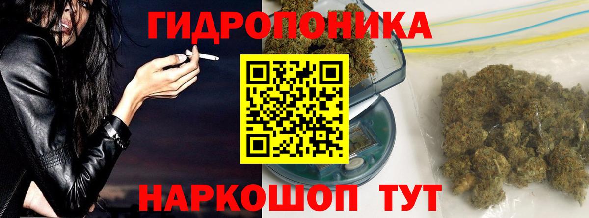 Бошки марихуана ГИДРОПОН  Бошки Шишки планчик  Марихуана LSD WEED  Чита  Вход с VPN 